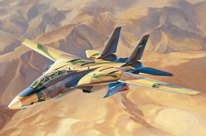1/48 Scale F-14 Tomcat "Persian Cat" Hobby Boss - 81771